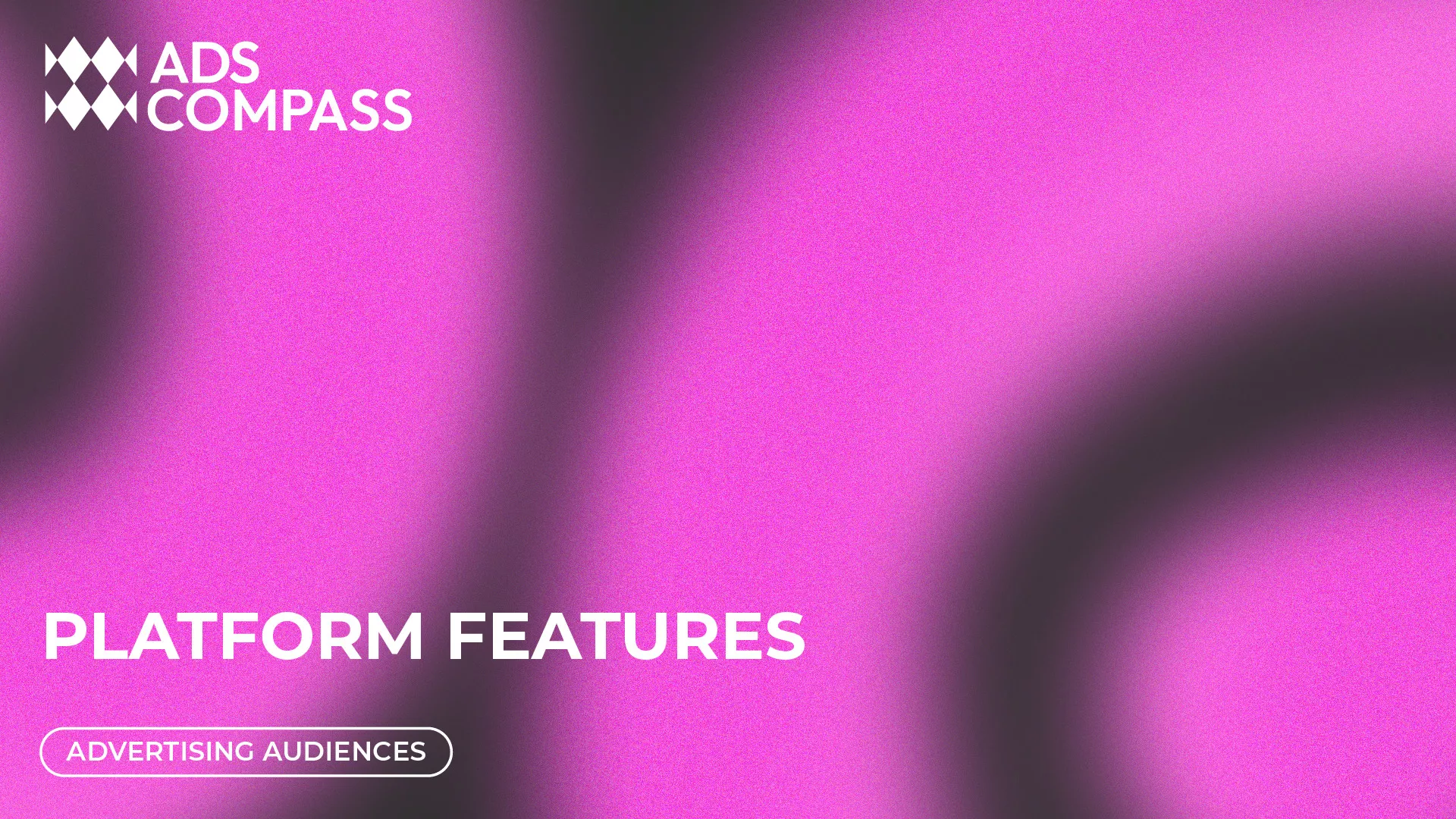 Platform features. Advertising audiences